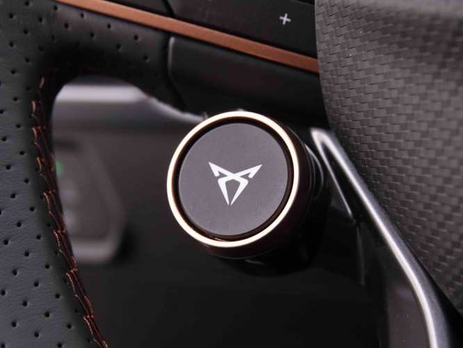 CUPRA_CUPRA_FORMENTOR_2547841_89.jpg