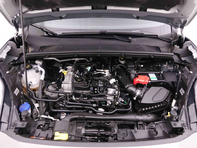 FORD_FORD_PUMA_2546990_21.jpg
