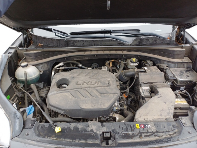 KIA_KIA_SPORTAGE_FR2300761_19.jpg