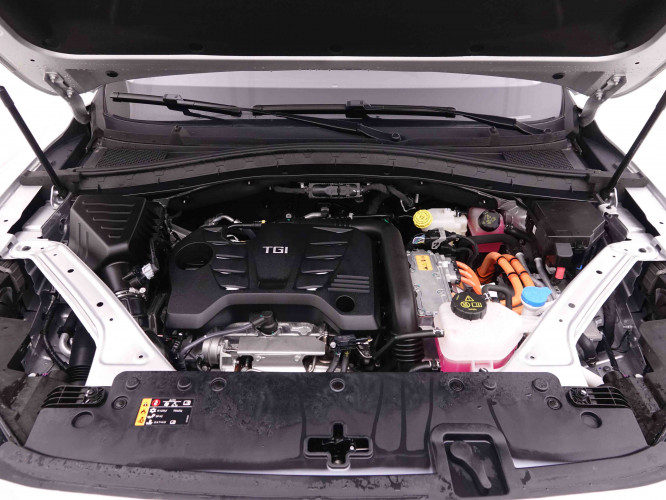 MG_MG_EHS_2445898_22.jpg