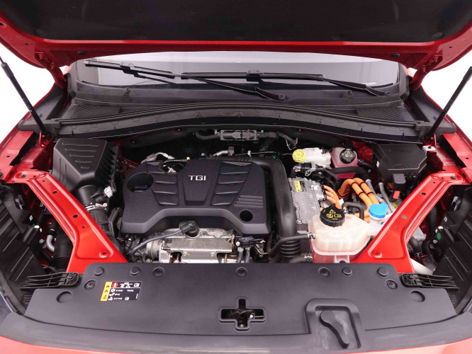 MG_MG_EHS_2548222_24.jpg