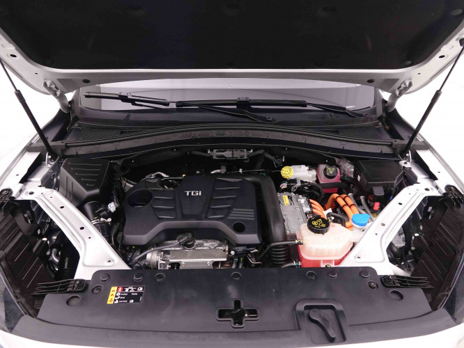 MG_MG_EHS_2548225_26.jpg