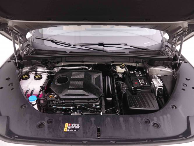 MG_MG_HS_2547957_26.jpg