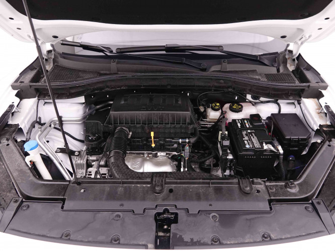 MG_MG_ZS_2548005_21.jpg