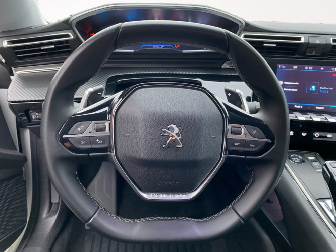 PEUGEOT_PEUGEOT_508SW_FR2300784_9.jpg